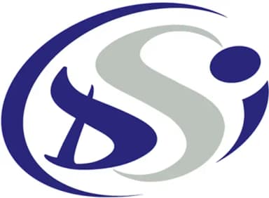Logo de DSI